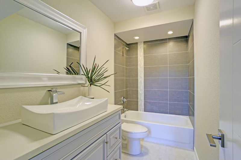 Tub Conversion Service